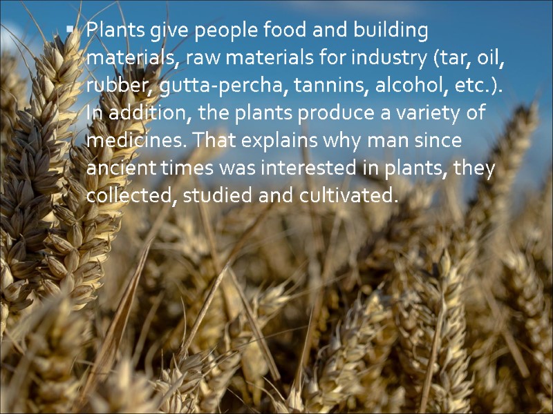 Plants give people food and building materials, raw materials for industry (tar, oil, rubber,